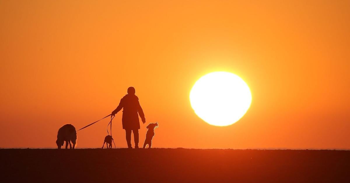 Stay safe: Brampton heat warning continues until further notice