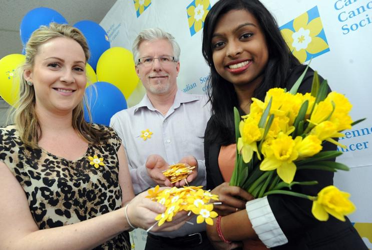 Zehrs Uxbridge Flowers Best Flower Site