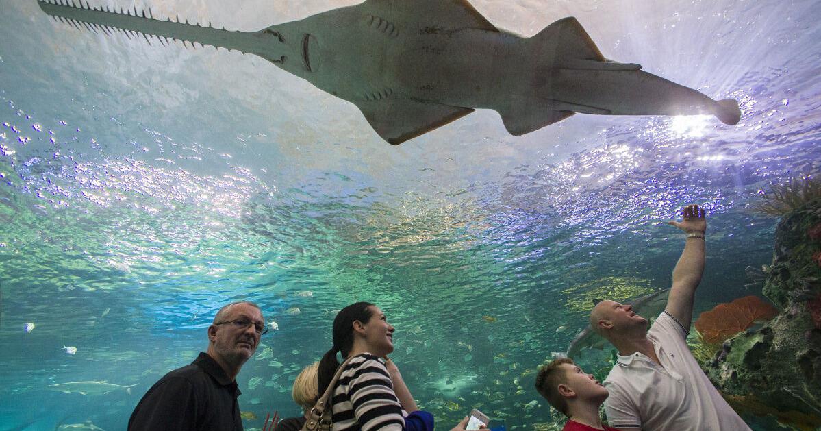 Planning a Victoria Day outing? Here are some of the major Ontario attractions that will be open