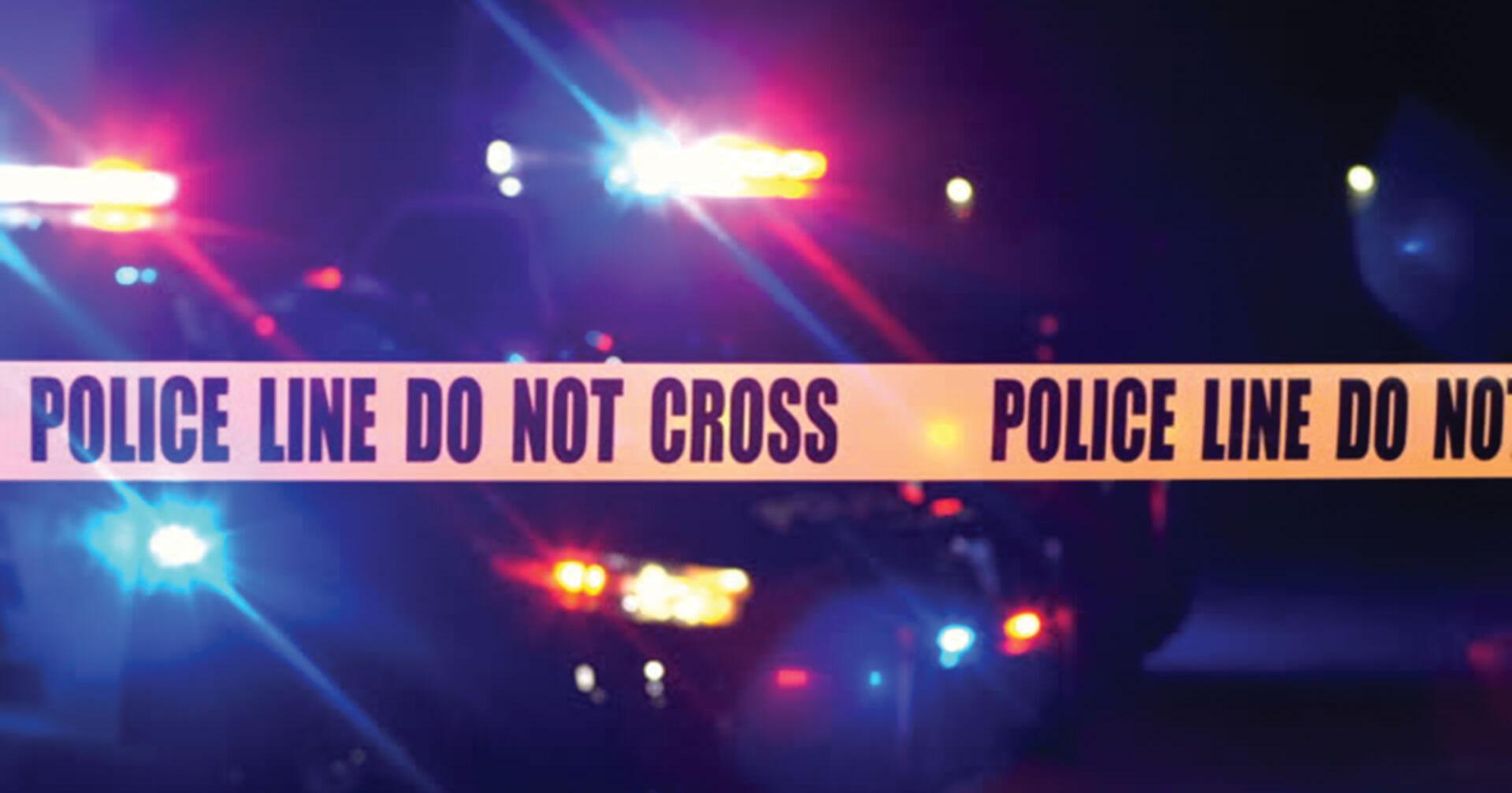 Branson man ran over by SUV, killed in Indian Point - Vimarsana News