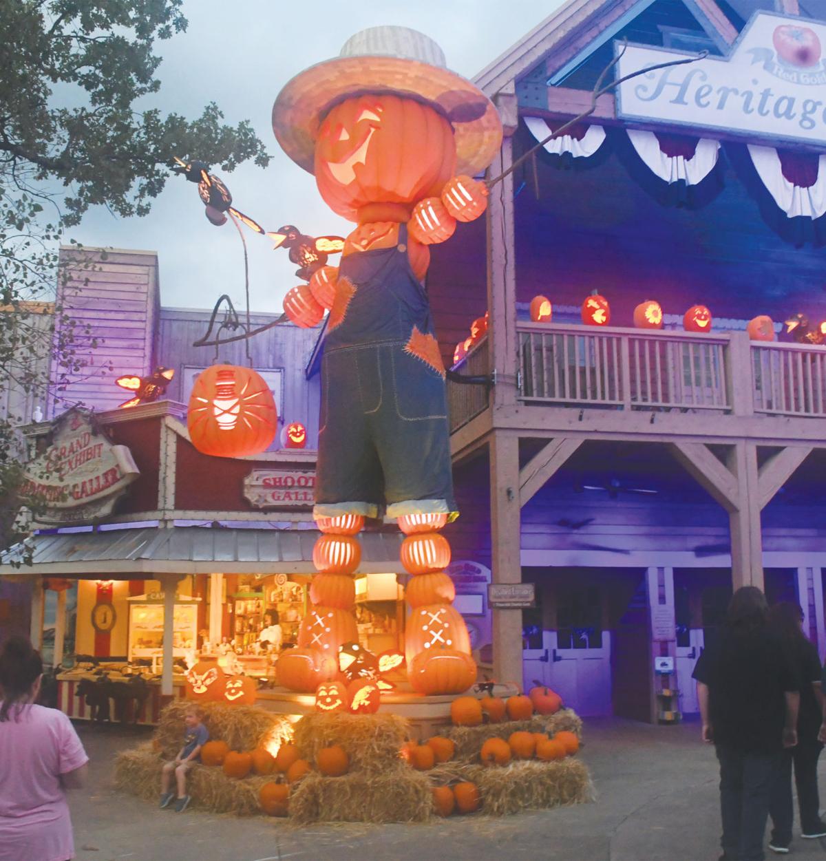 5d8e57587ff5c.image.jpg