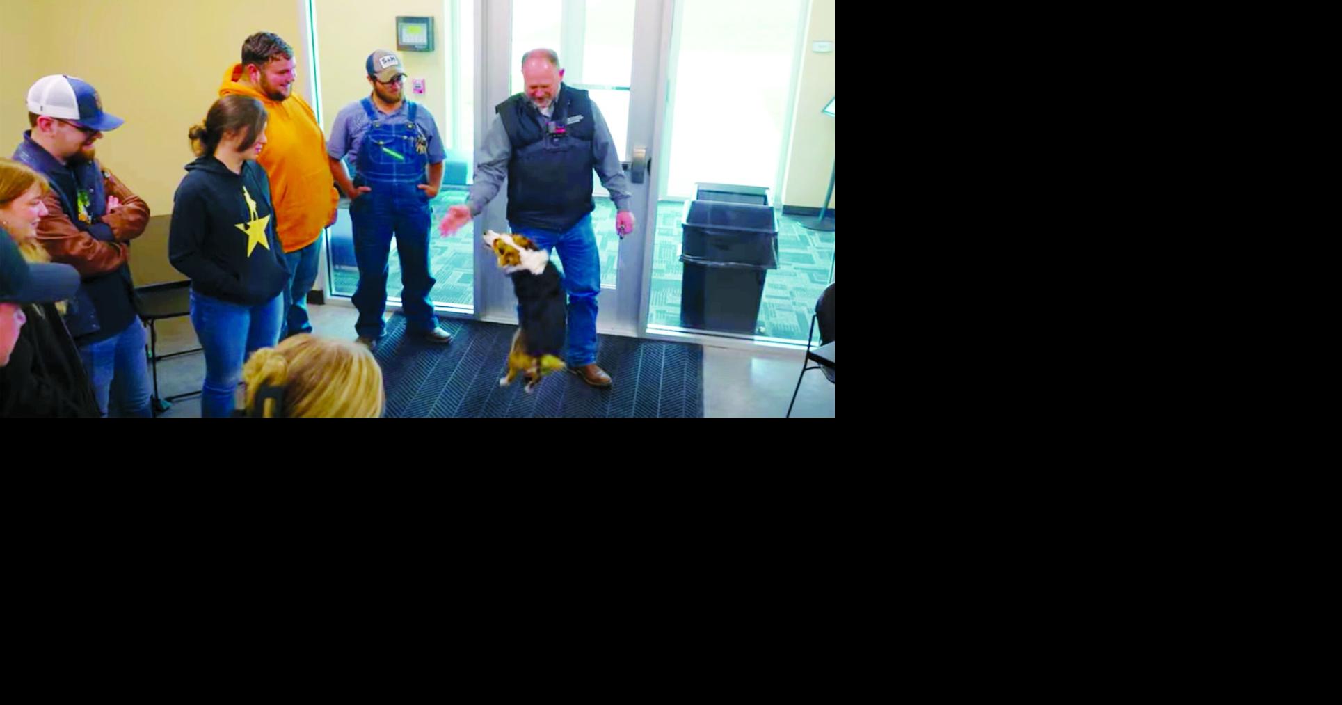 MOFB’s 2026 Farm Dog of the Year named