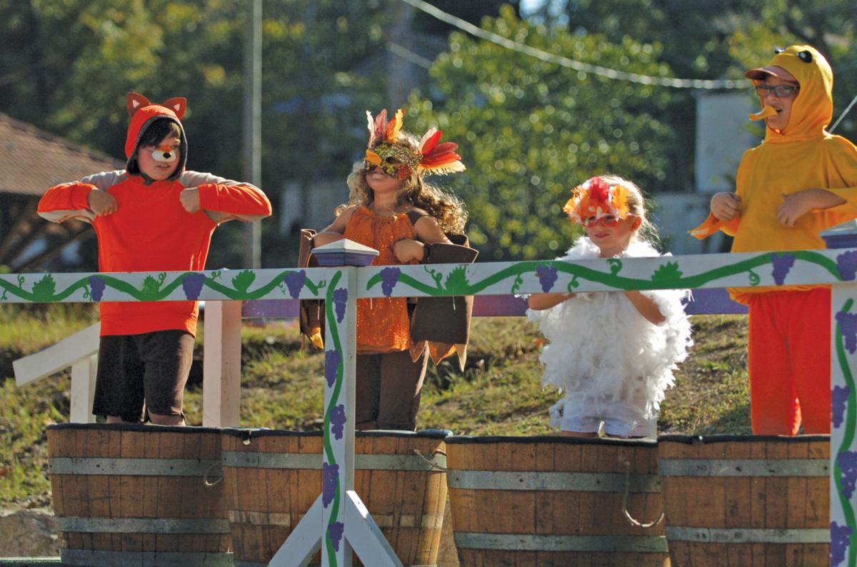 Hollister Grape Fall Festival Grape Stomp Pup Pageant And 5k