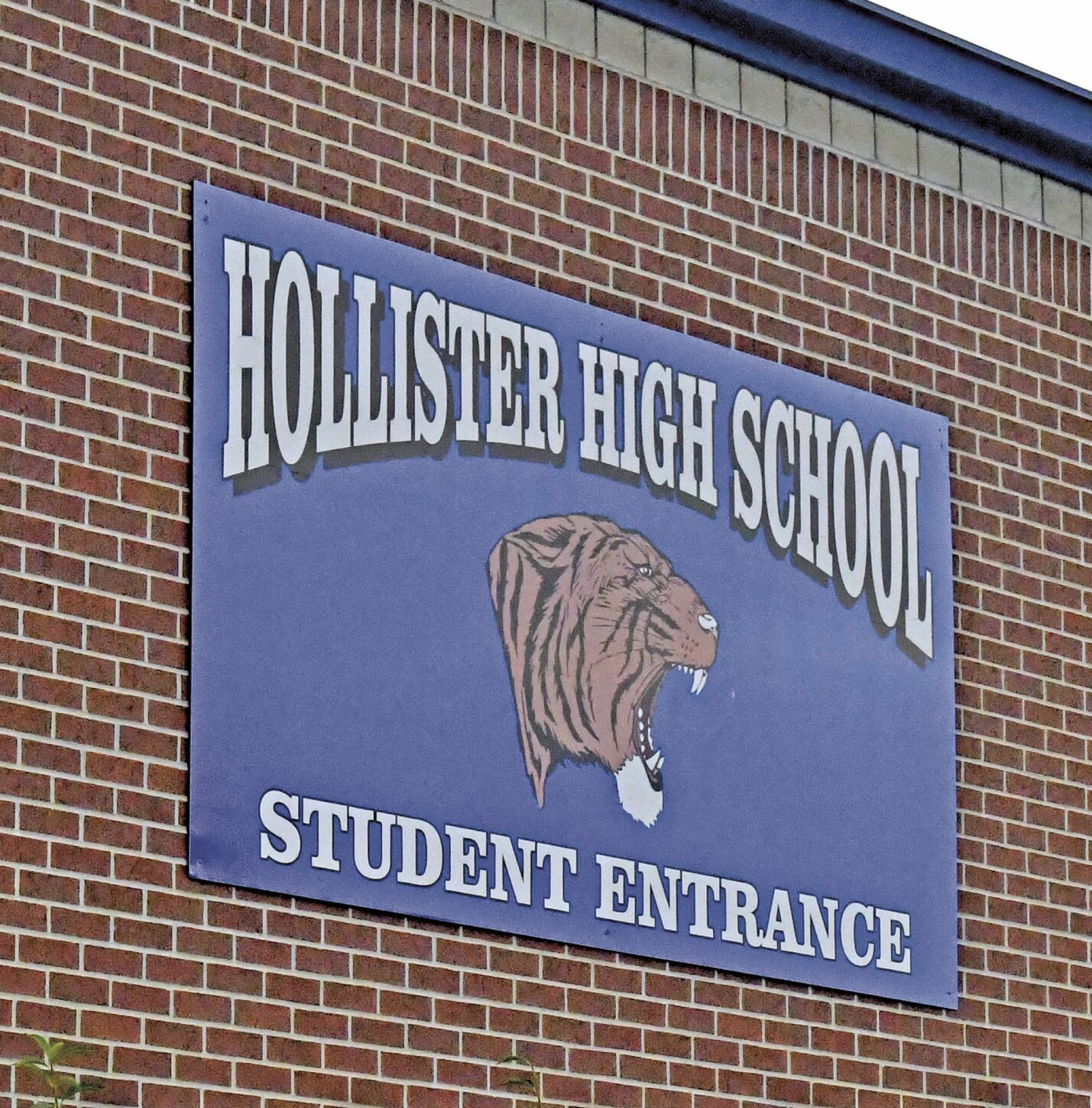 Hollister discount outlet student