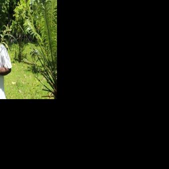 Sacred leaf offers hope for Vanuatu's threatened forests