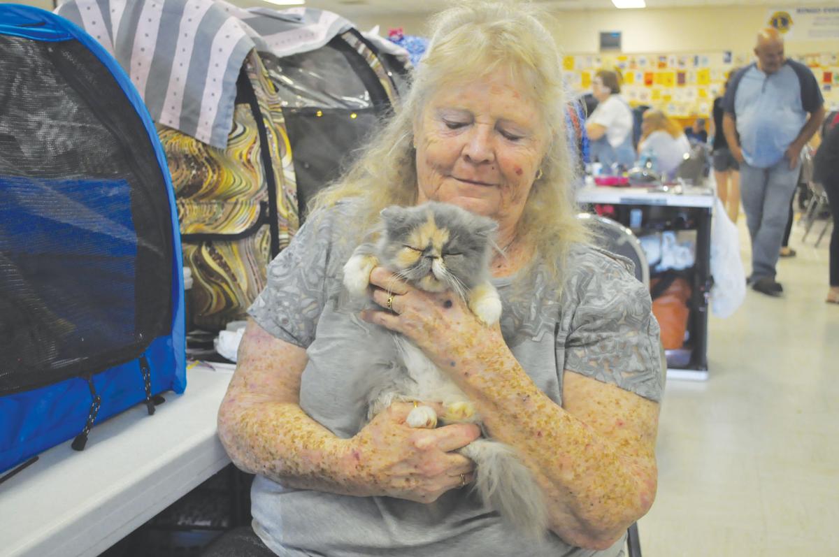 Feline Fine Branson Hosts Cat Show News Free