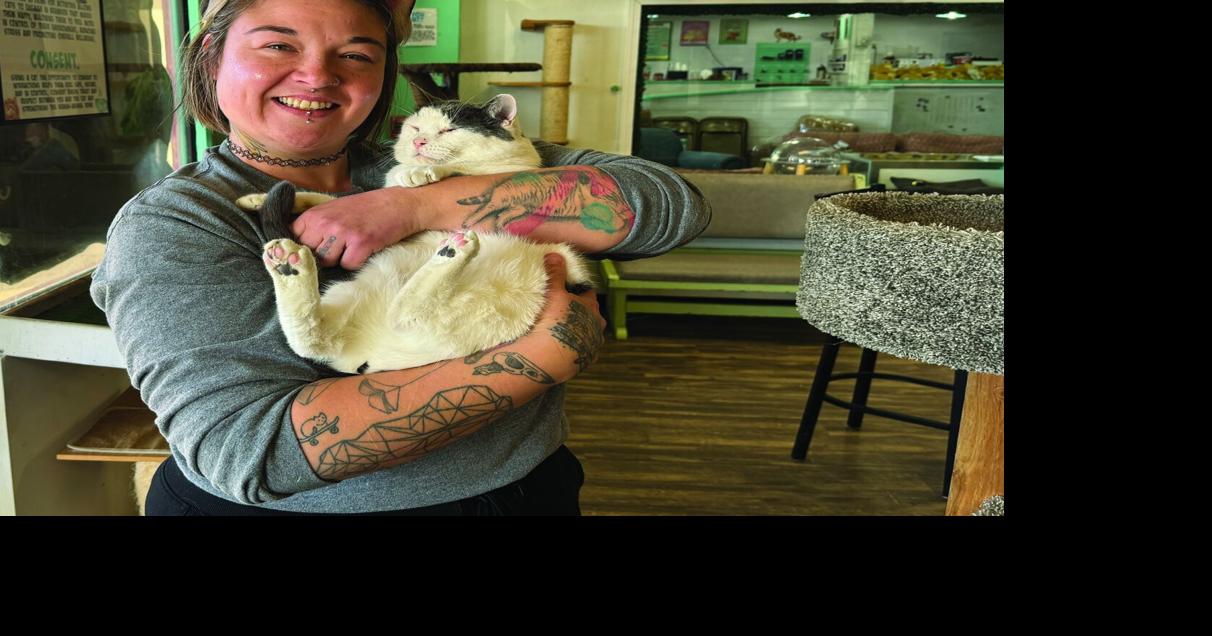 Mochas and Meows celebrates 400th cat adoption