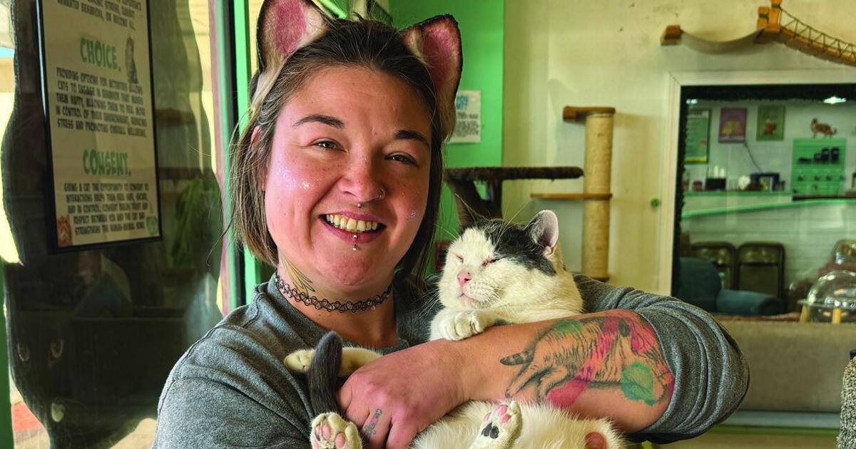 Mochas and Meows celebrates 400th cat adoption
