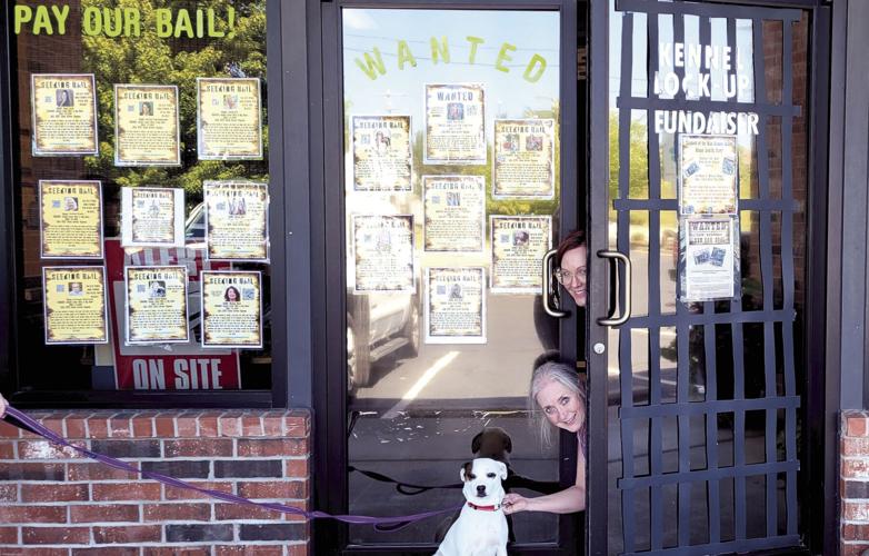 Humane Society hosting lock-in fundraiser | News Free