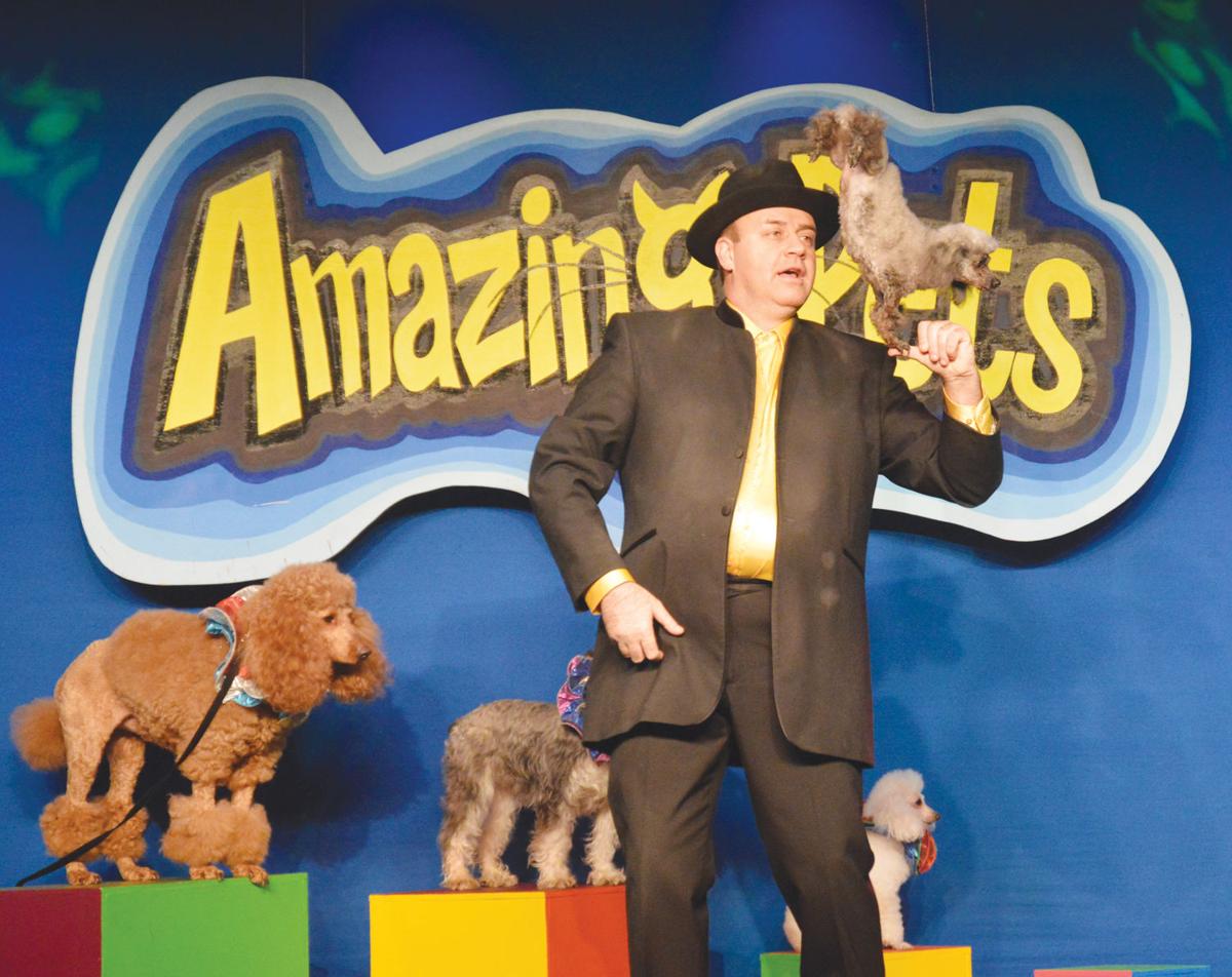Branson Beat: Christmas in the Ozarks Entertainment