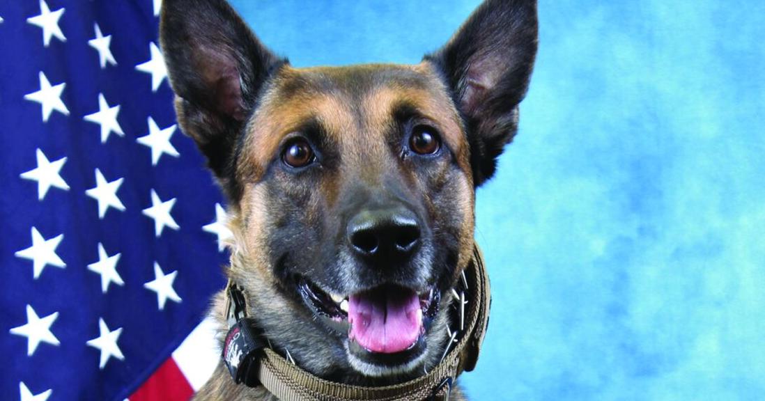 Branson K9 Tygo laid to rest