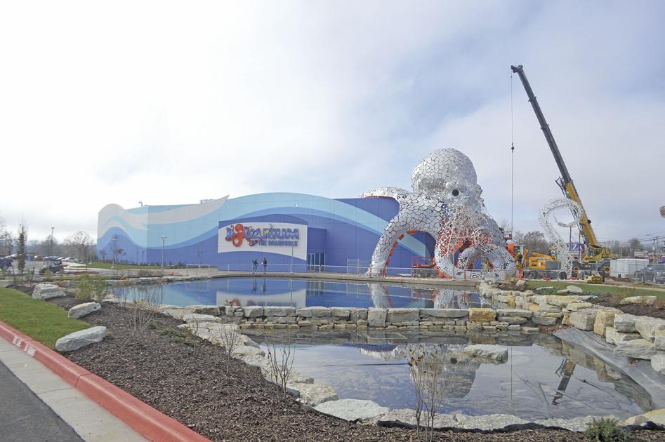 Longawaited Branson aquarium is now open News Free