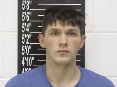Galena man pleads guilty to sexual abuse | Local News |  