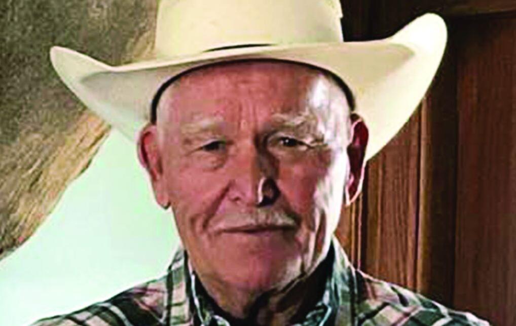 Stone County local hopes to fill county seat | Local News ...