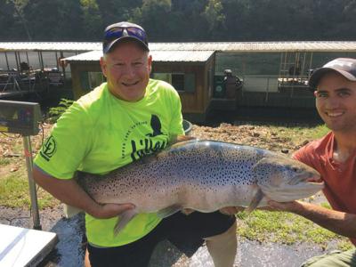 Brown Trout From Lake Taneycomo Breaks State Record News Free Bransontrilakesnews Com