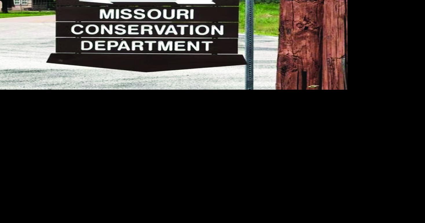 Popular camping area in Taney County closed