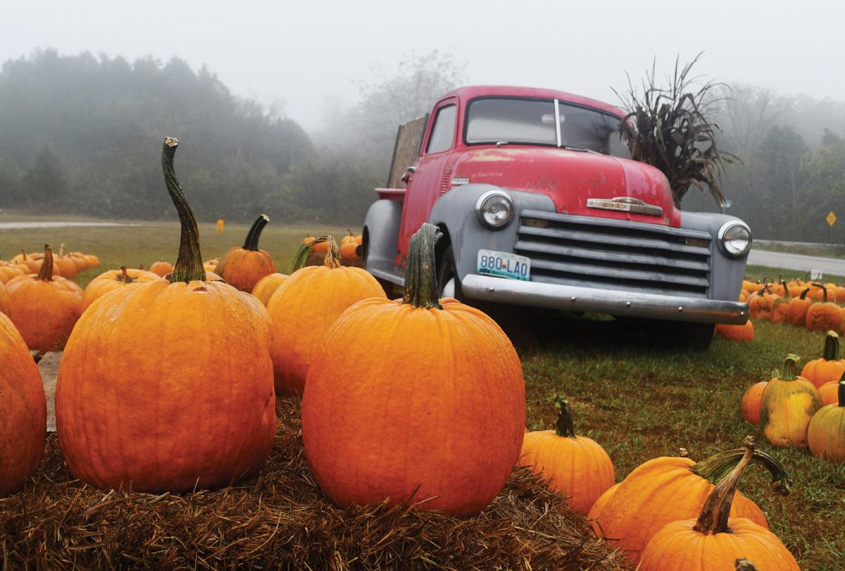 Spooky Halloween Events Planned Across The Tri Lakes Area News