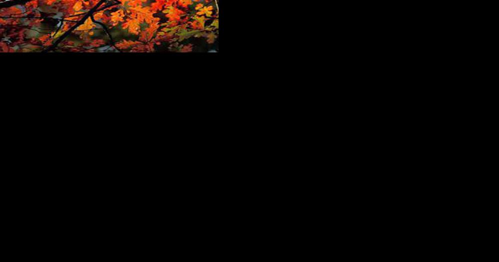 Hillcrofters to host inaugural Ozarks bazaar - Vimarsana News