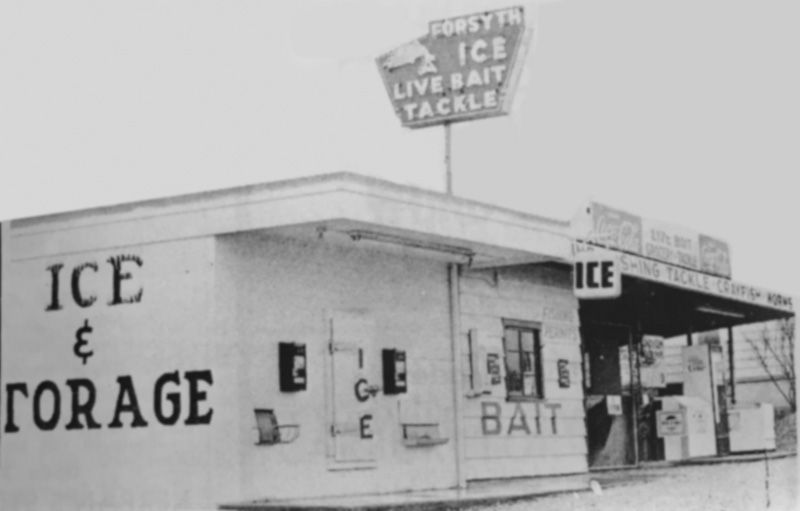 forsyth bait and tackle