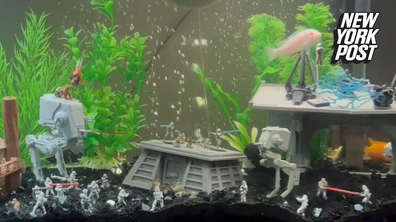 Steelers fish tank clearance decorations