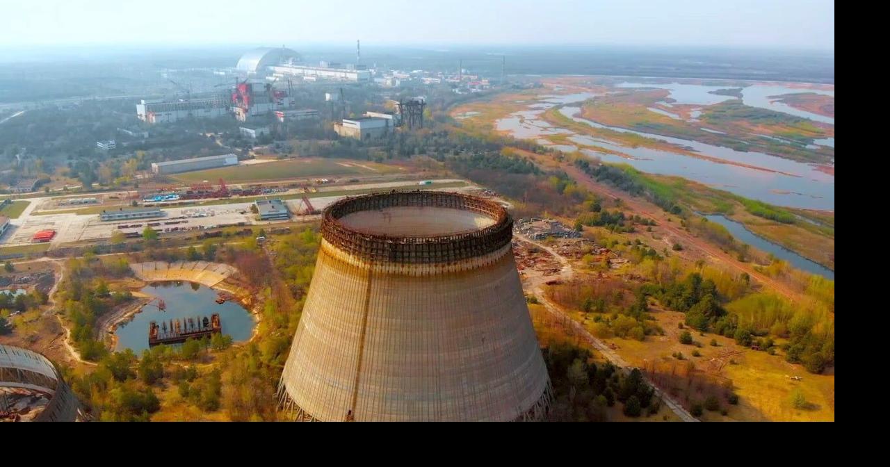 The DNA of dogs in the Chernobyl zone is genetically distinct nearly 40 ...
