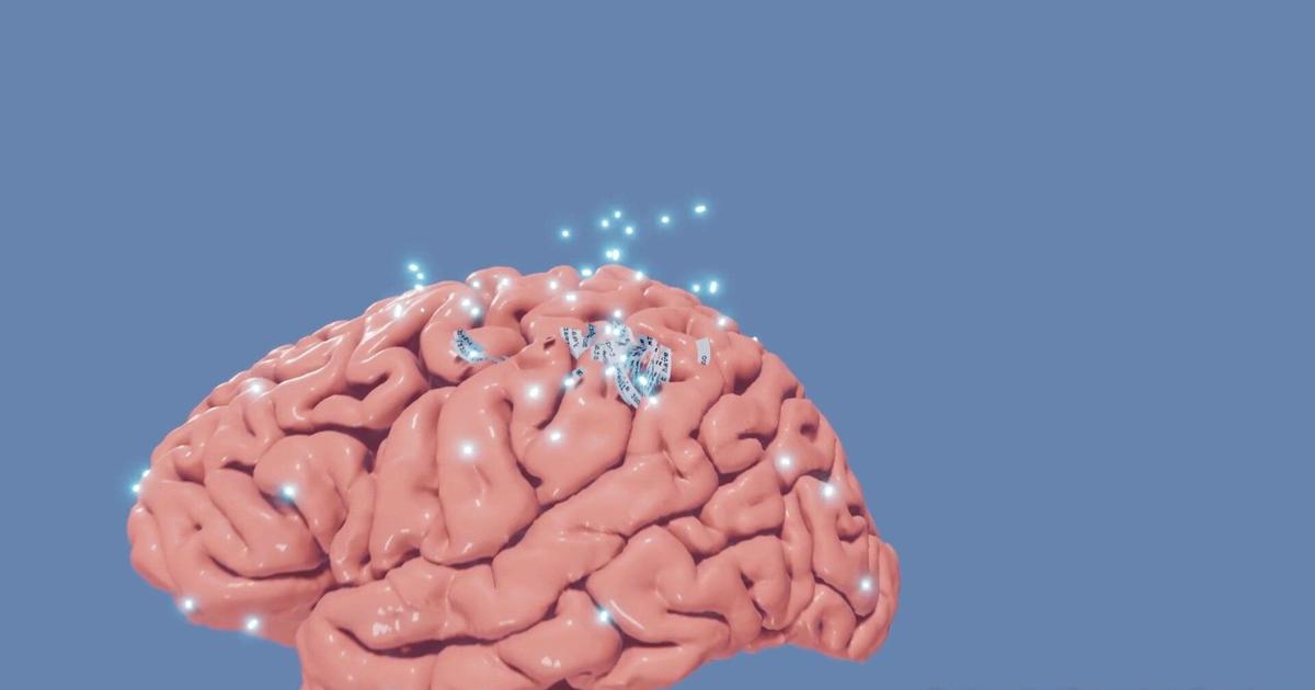 Scientists use AI to build 'semantic decoder' that can read minds