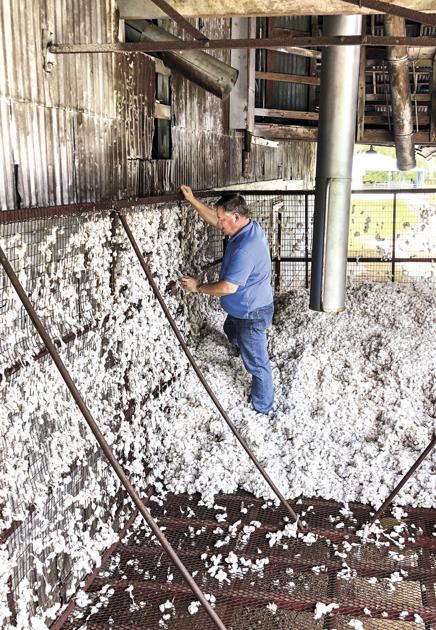Cotton Gin Festival Set For Saturday News Brenhambanner Com