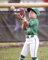 Gallery: Washington County Little League 8-Year-Old Green Team vs. Lee County