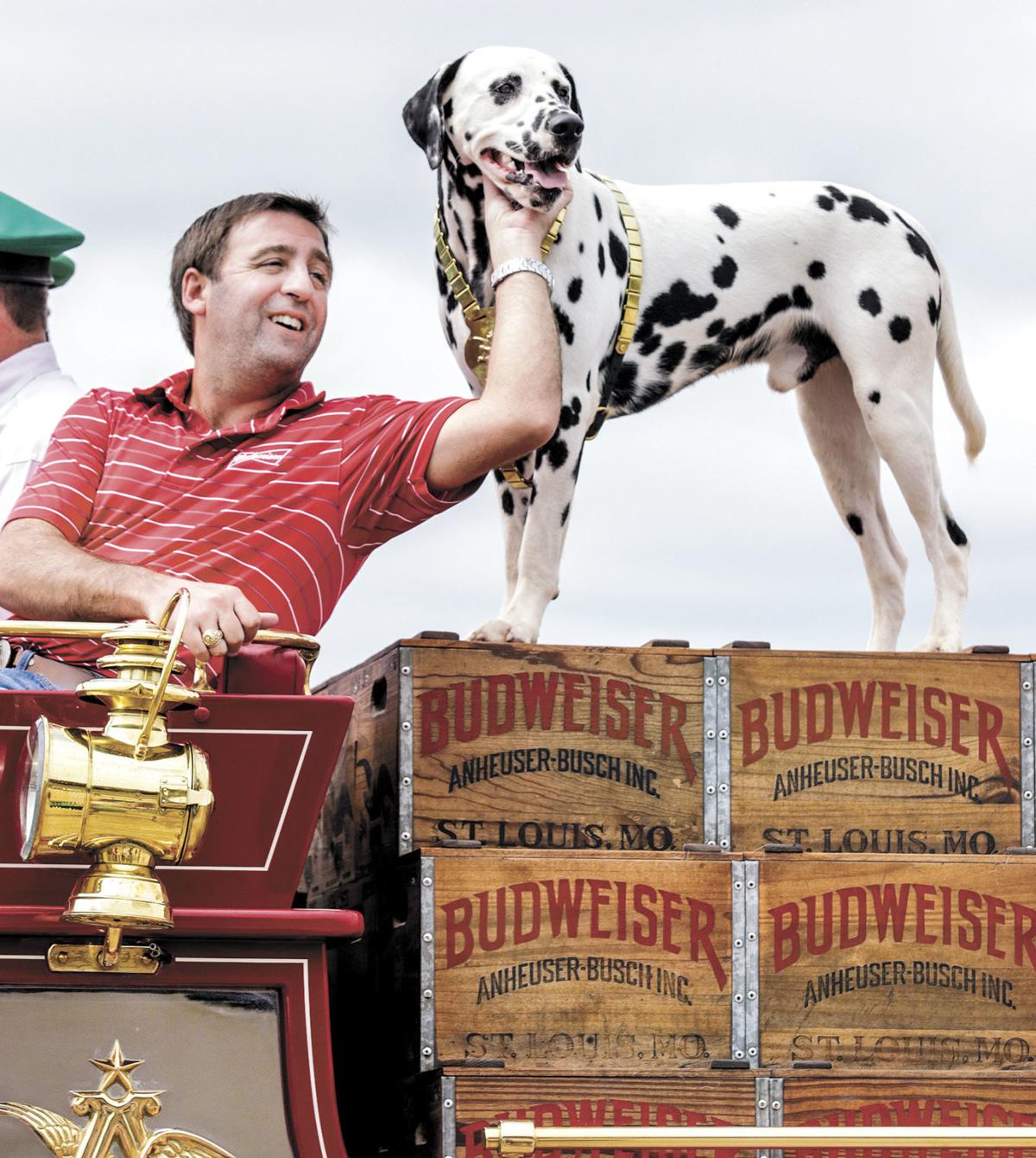 Clydesdale mascot