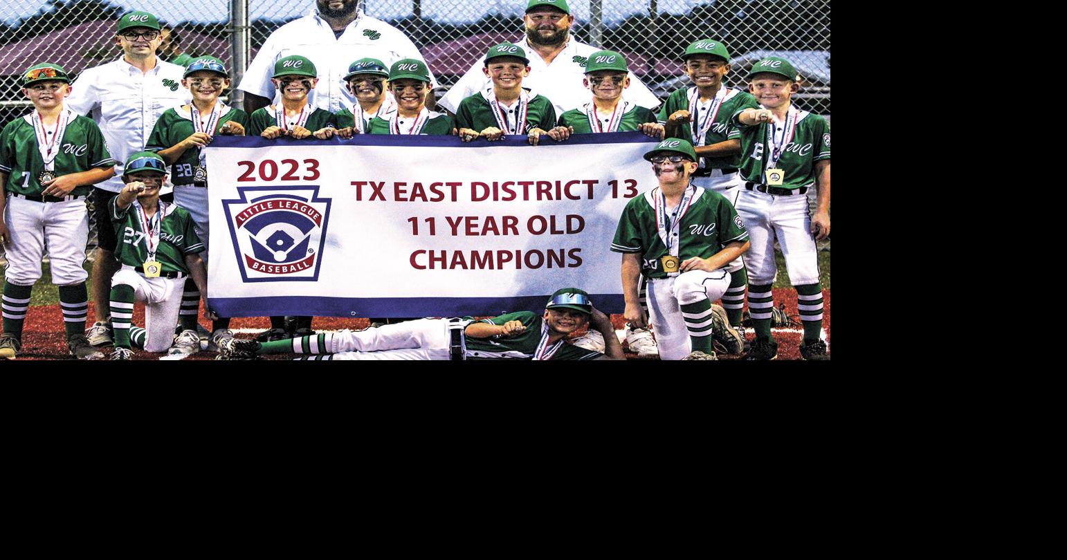 11yearold Little League baseball district championship game Gallery