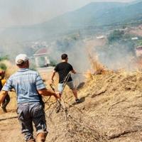 Two dead as wildfires rage near Turkish resort of Izmir