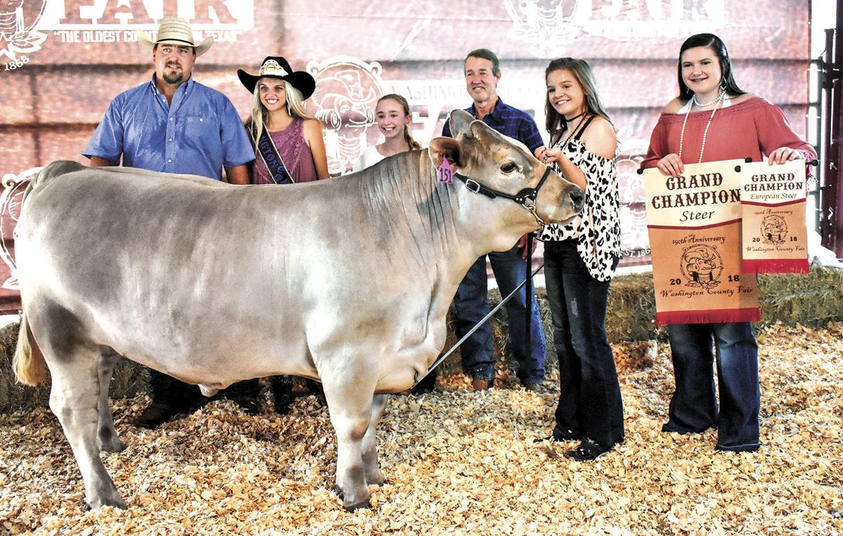 Grand champion steer sells for $17,000