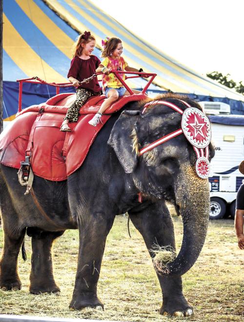 Elephant ride