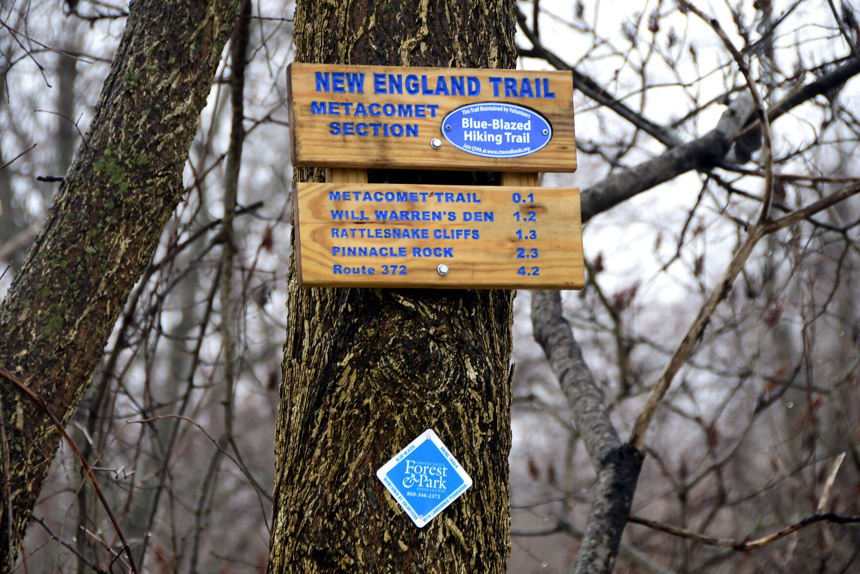 Plainville challenges Bristol to ‘Trail War’ to promote hiking, mayor