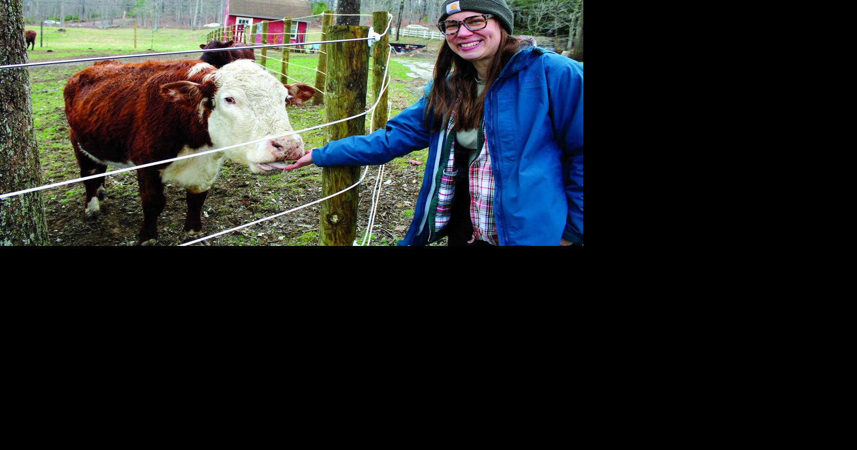 Star Wars fans may have found a reason to visit this Ashford farm