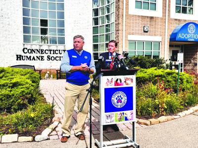 Animal abuse in Conn. rises by 37%, officials say News bristolpress