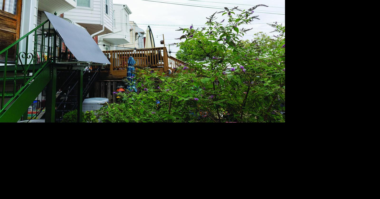 Plug-in solar panels can lower electric bills. Legal in CT?