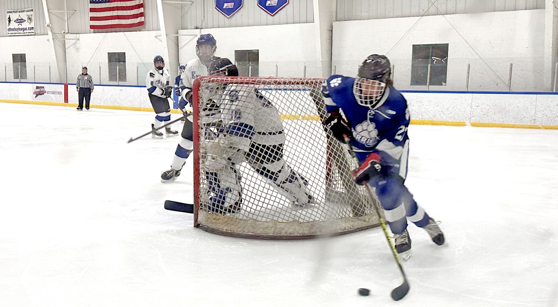Rocky Hill vs. Newington: D-III Hockey Tournament Victories and Defeats Detailed