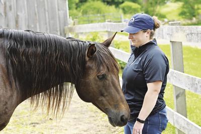 Equine therapy expands program at Shepard Meadows