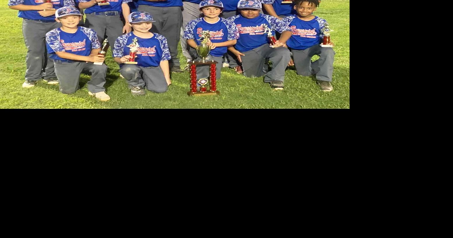 South Hill captures Minors D2 District Title Sports brunswicktimes