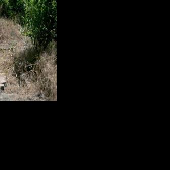 Serbian village stakes claim to the first vampire