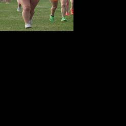 LC girls 6th, Delta's Welch finishes 11th at Division III state cross country meet - Vimarsana News