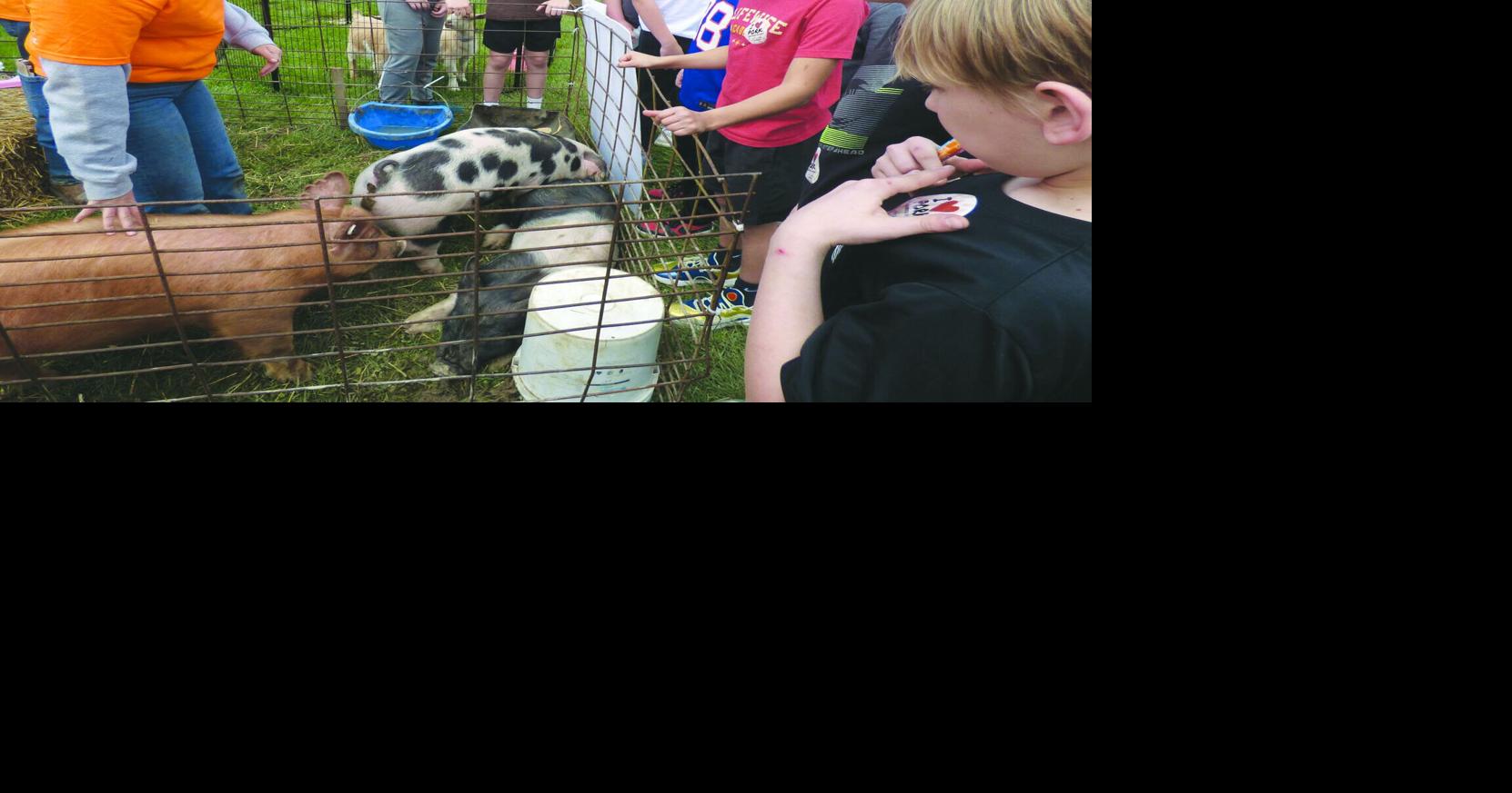 Students learn about pigs | Local News | bryantimes.com