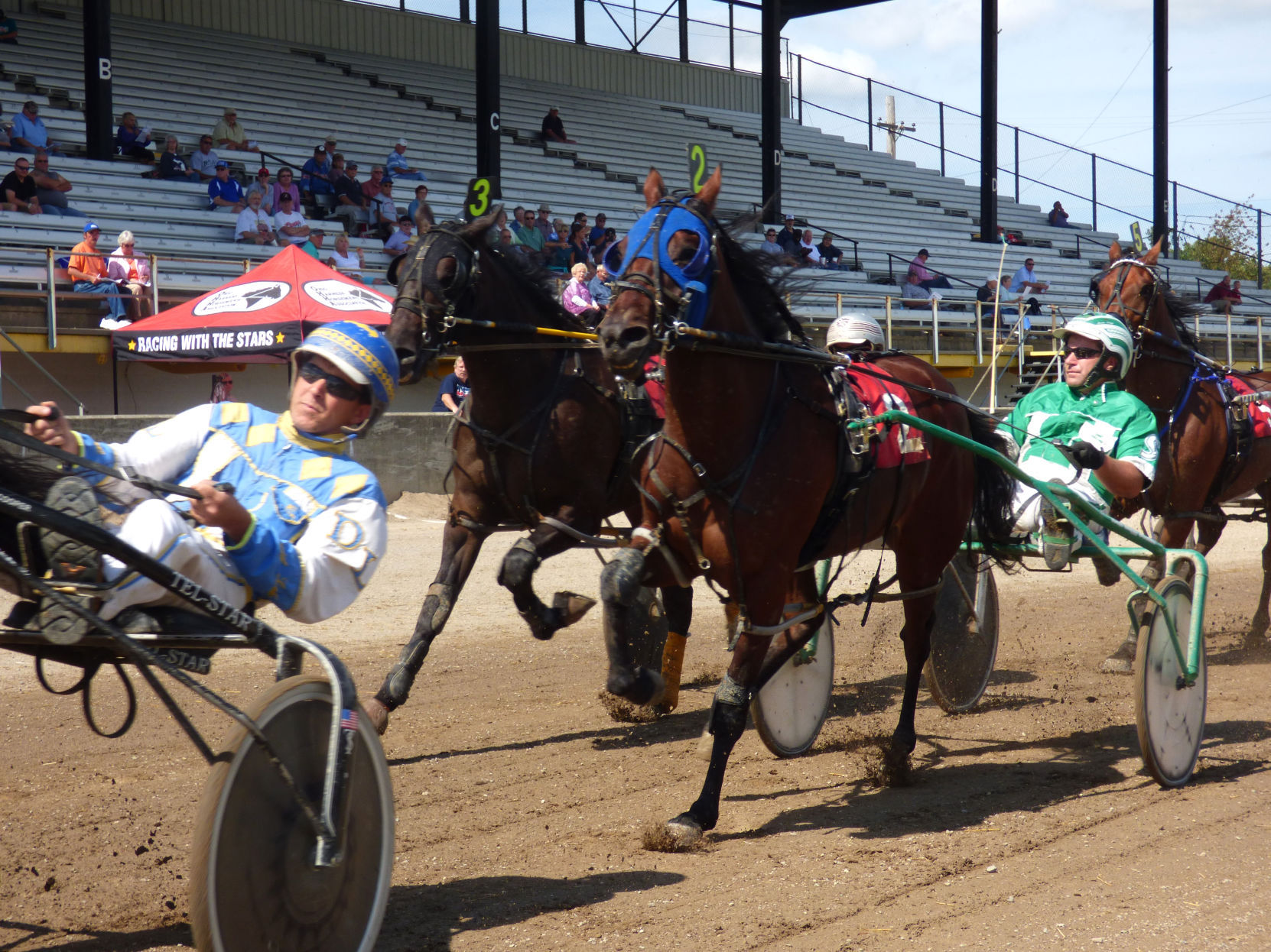 Harness racing a fast-paced family affair | Local News | bryantimes.com