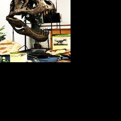 Dinosaur fossils coming to West Unity church - Vimarsana News