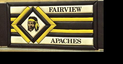 Fairview volleyball sweeps Genoa in Division III sectional semifinal - Vimarsana News