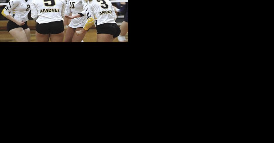 Fairview volleyball wins tough Division III sectional final against Archbold - Vimarsana News