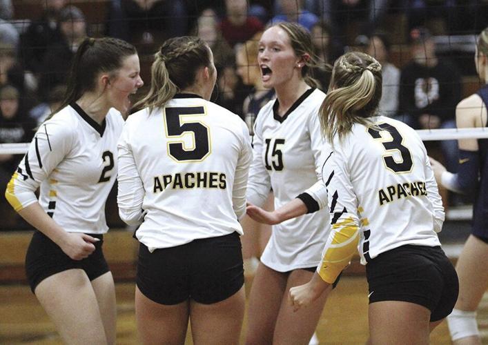 Fairview volleyball wins tough Division III sectional final against
