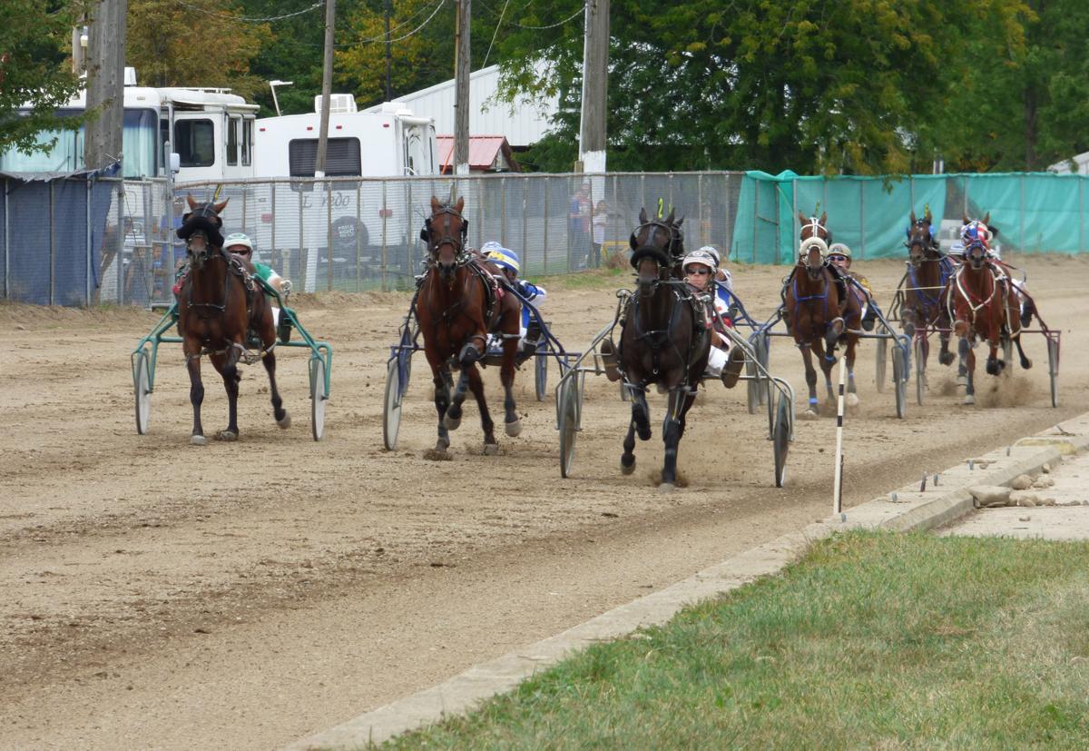 Horses thunder down the track at Williams County Fair Local News