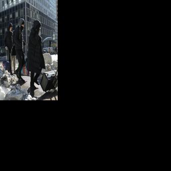 Iguanas fall from trees in Florida as icy weather bites southern US